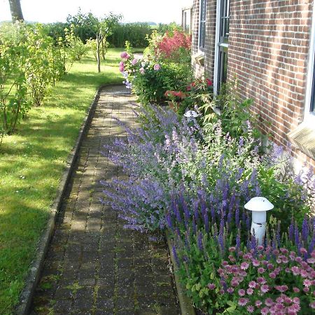 B&B Op De Vlakte Oosternijkerk Exterior foto
