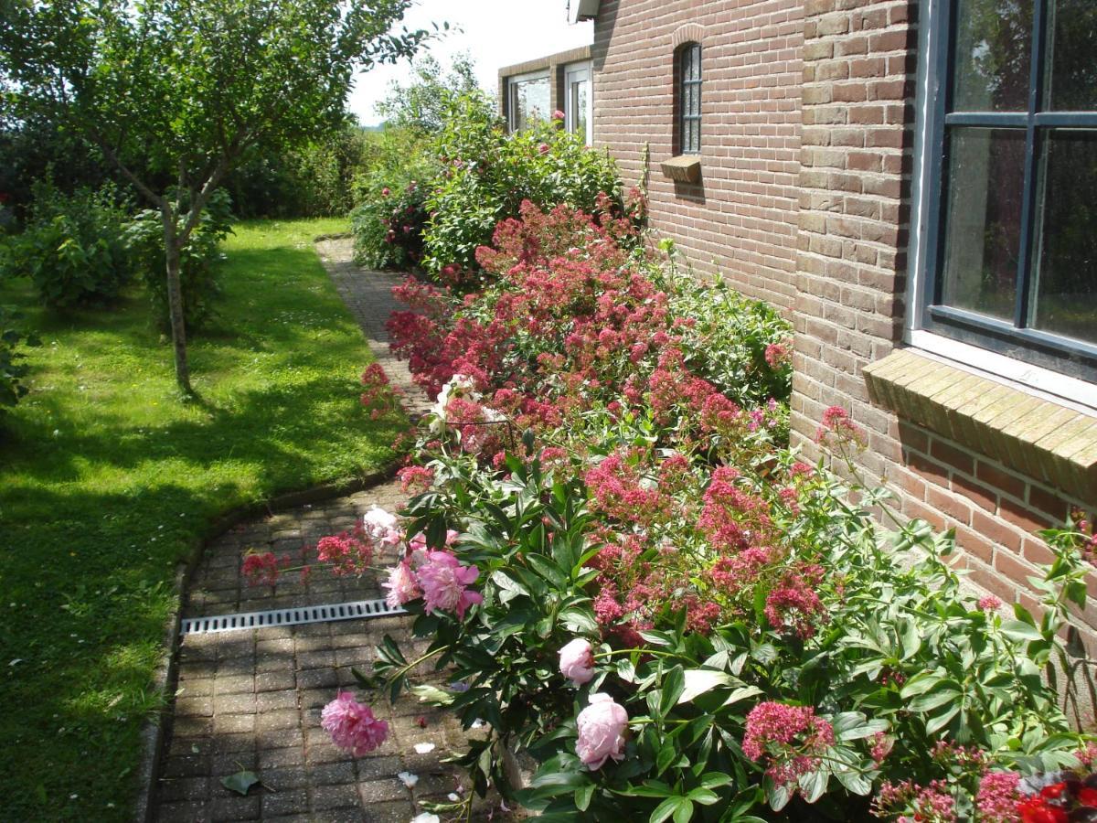 B&B Op De Vlakte Oosternijkerk Exterior foto